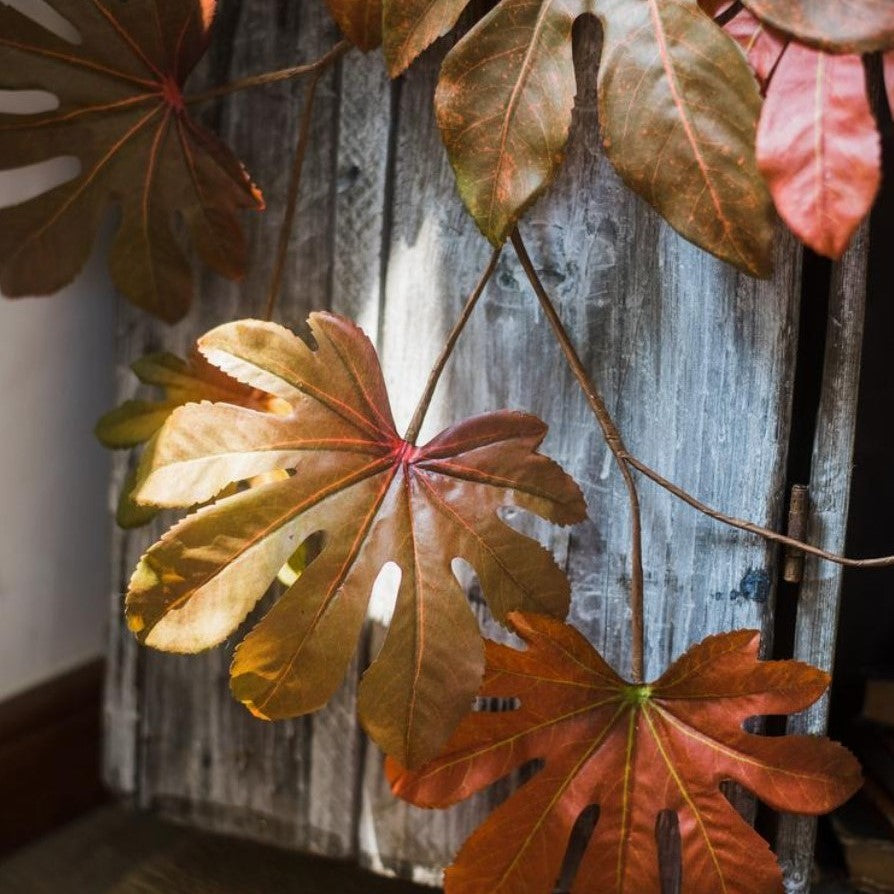 Close-up of autumn leaves with a wooden background