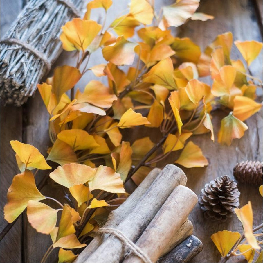 all the fall feels collection