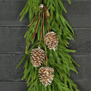 pinecone cluster trio