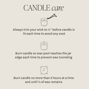 candle :: gingerbread & spice 15 oz.