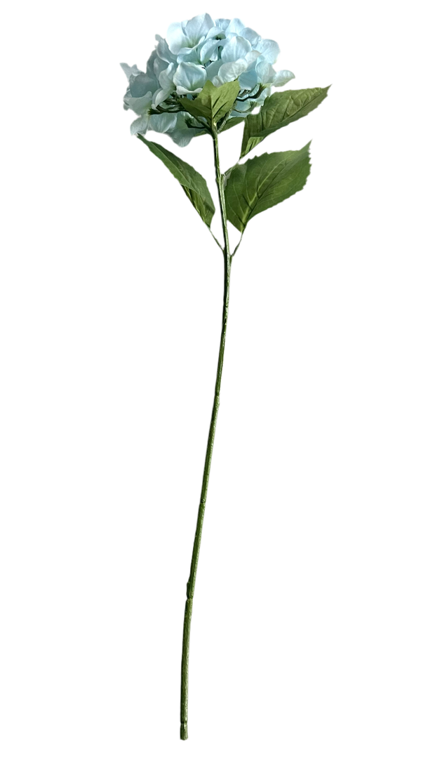 floral stem :: hydrangea blue