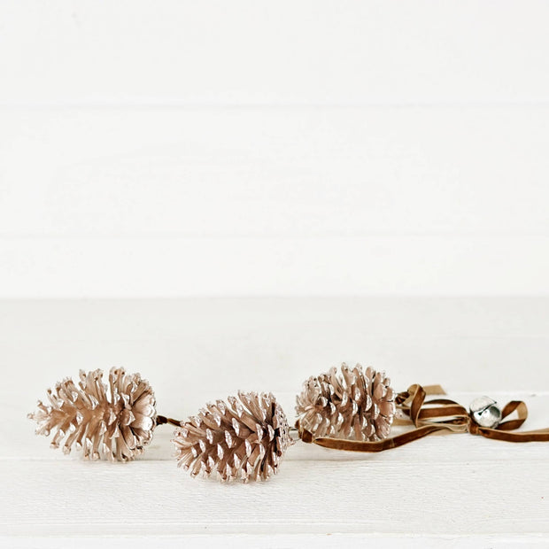 pinecone cluster trio