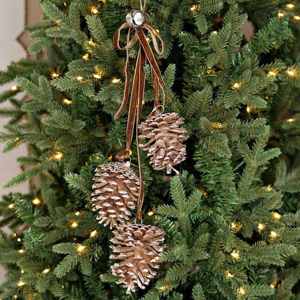 pinecone cluster trio