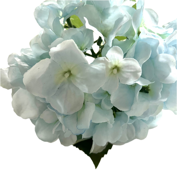 floral stem :: hydrangea blue