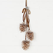 pinecone cluster trio