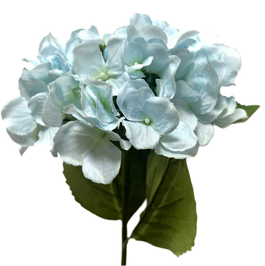 floral stem :: hydrangea blue