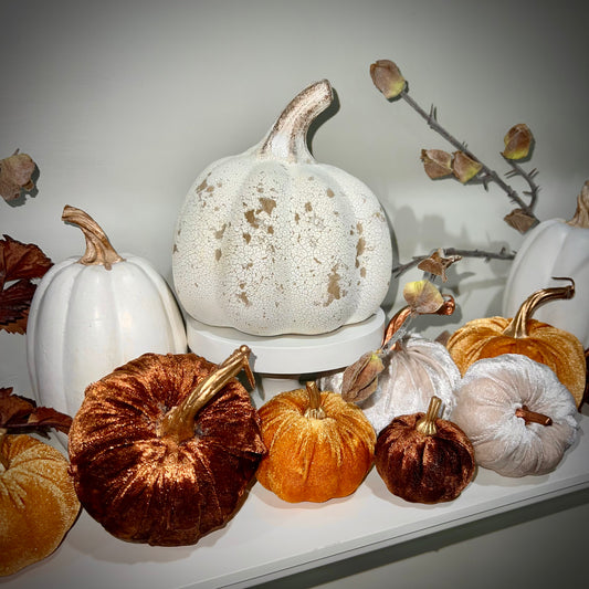 pumpkins :: velvet set