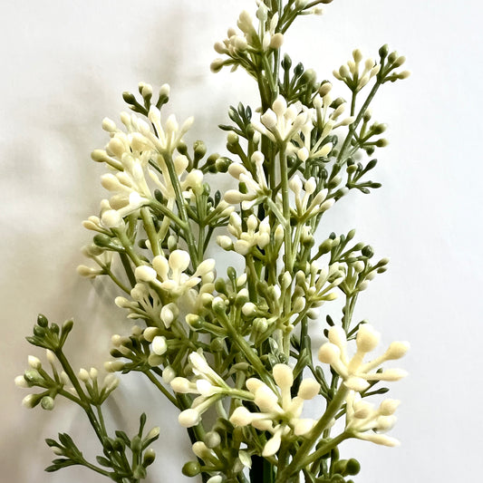 floral :: baby’s breath
