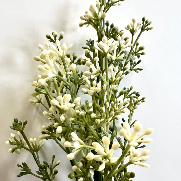 floral :: baby’s breath