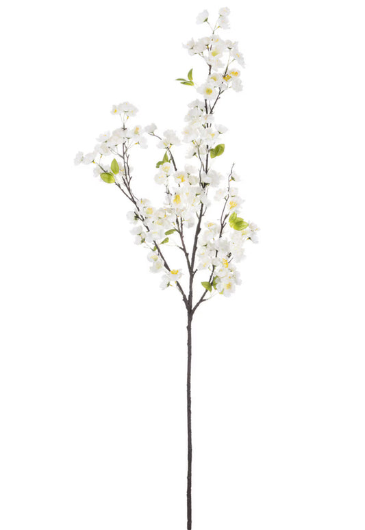 floral stem :: cherry blossom white