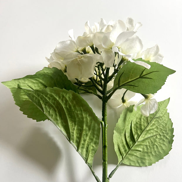 floral stem :: hydrangea white