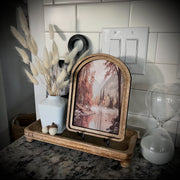 dried florals :: bunny tails (lagurus grass)