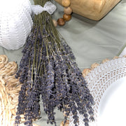 dried florals :: lavender