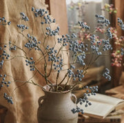 fruit stem :: blueberry