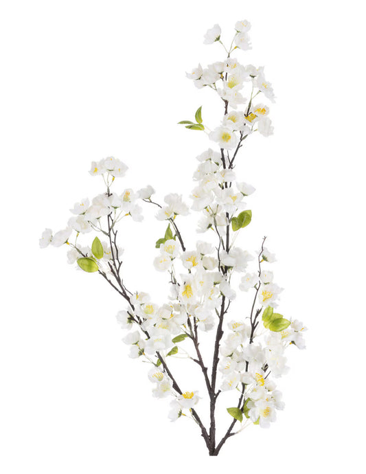 floral stem :: cherry blossom white
