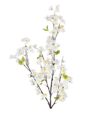floral stem :: cherry blossom white