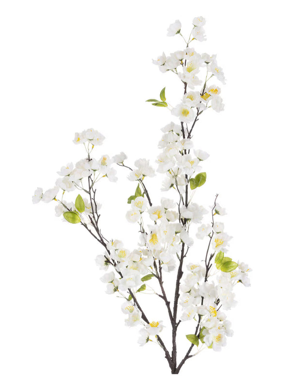 floral stem :: cherry blossom white