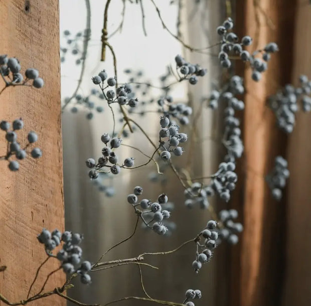 fruit stem :: blueberry