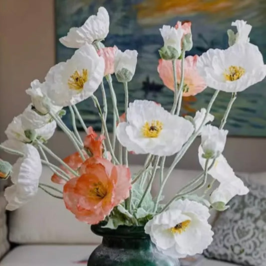floral stem :: white poppy