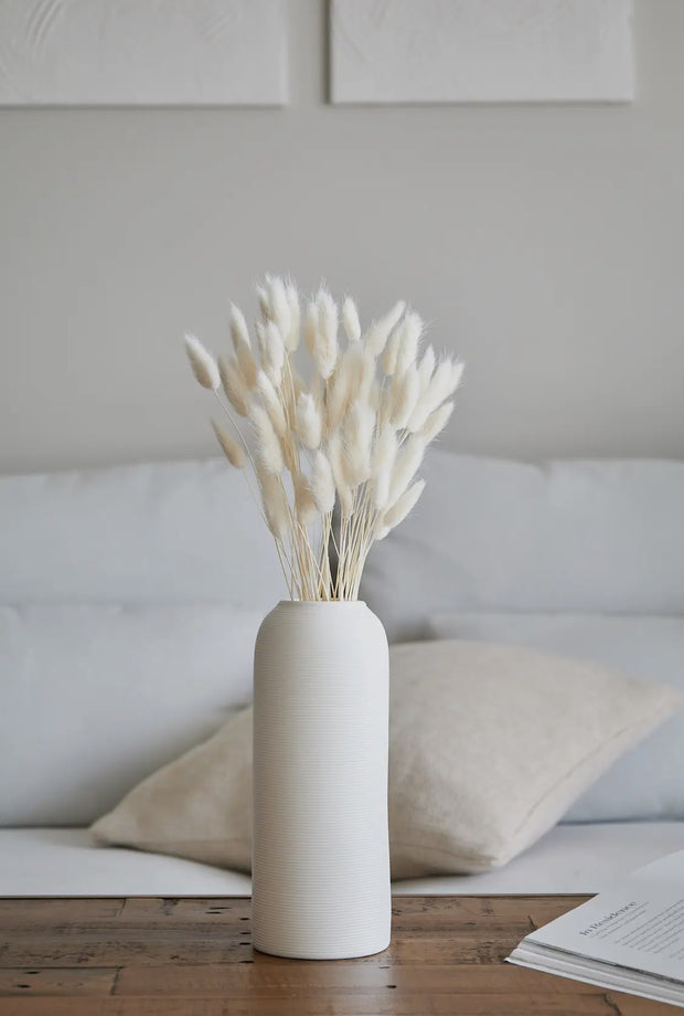 dried florals :: bunny tails (lagurus grass)