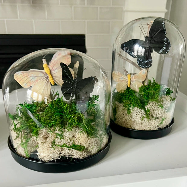 preserved reindeer moss