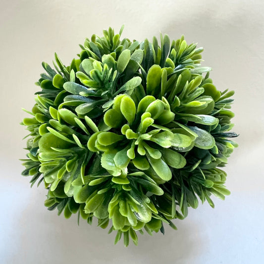 filler ball :: boxwood
