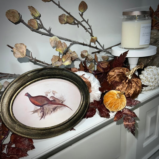 frame :: pheasant
