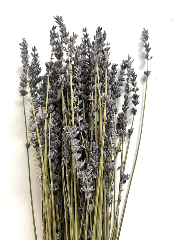 dried florals :: lavender