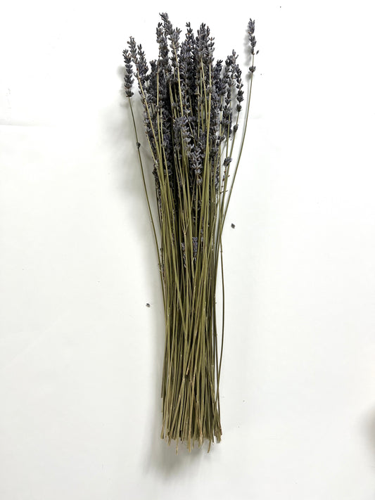 dried florals :: lavender