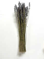 dried florals :: lavender