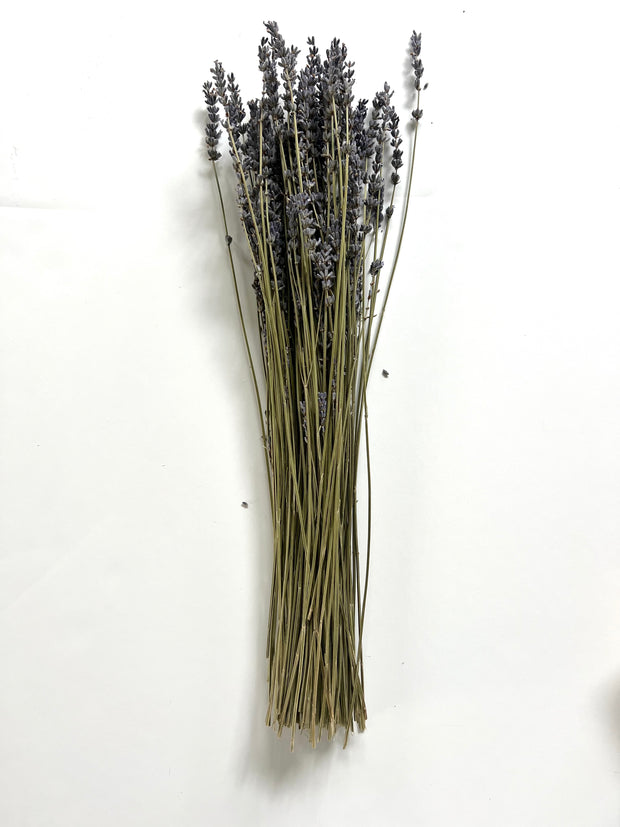 dried florals :: lavender