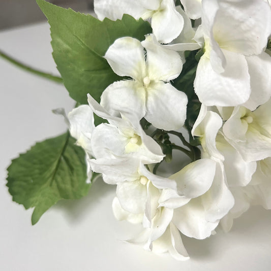 floral stem :: hydrangea white