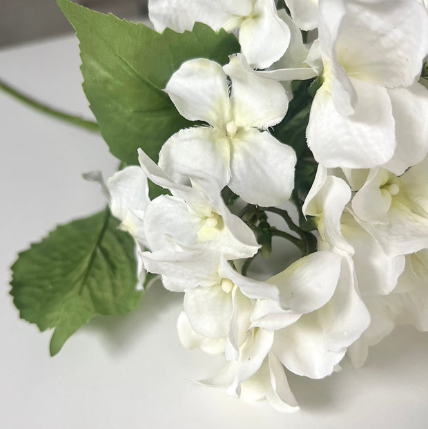 floral stem :: hydrangea white