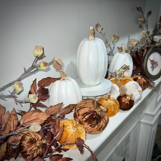 pumpkin :: tall white