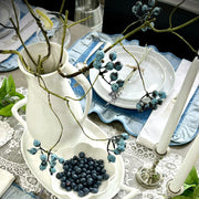 fruit stem :: blueberry