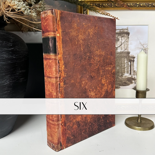 Cover image of Book Vintage Inspired Style Six