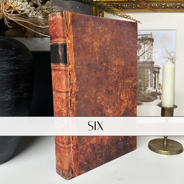 Cover image of Book Vintage Inspired Style Six