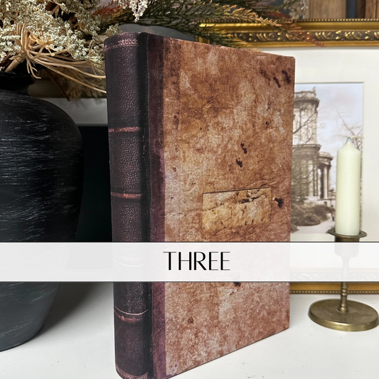 Cover of Book Vintage Inspired Style Three