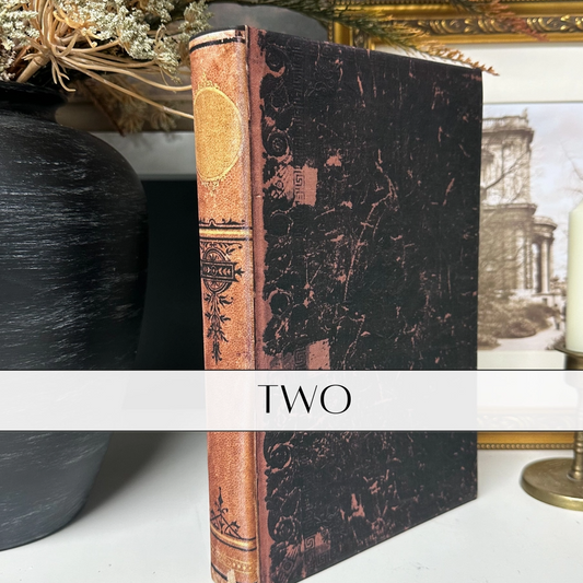 Cover image of Book Vintage Inspired Sty