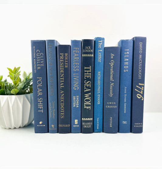 A collection of decorative blue books with varying heights placed on a shelf, with a white plant pot to the left.