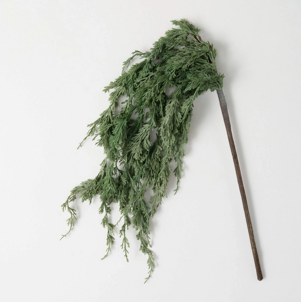 swag :: cedar