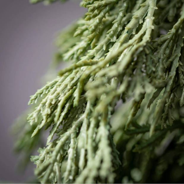 swag :: cedar