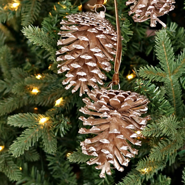 pinecone cluster trio
