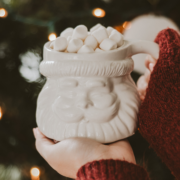 mug :: santa