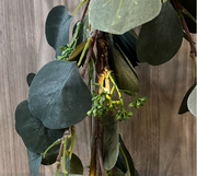 garland :: eucalyptus 70"L