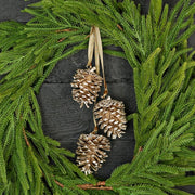 pinecone cluster trio