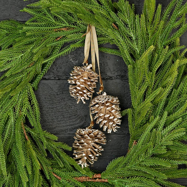 pinecone cluster trio