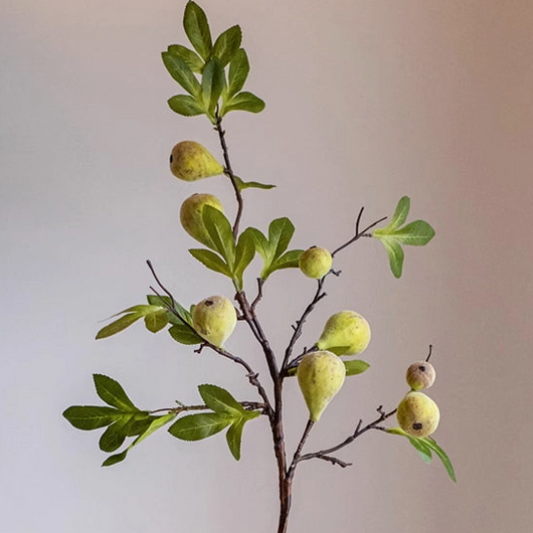 fig fruit stem