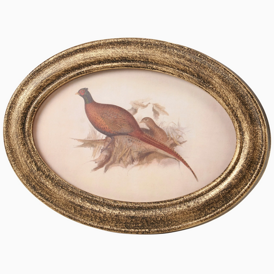 Framed pheasant wall art