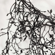spooky black garland for haunted decor
